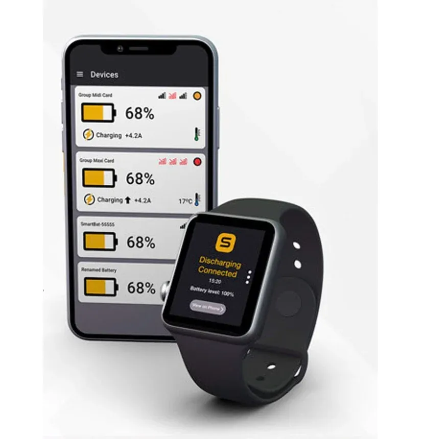 SUNBEAMsystem Smart Lithium Accu Multi 54Ah 24 Volt - Afbeelding 6